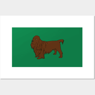 sussex spaniel Posters and Art